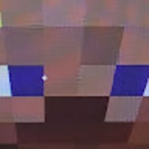 Meet your Posher, Addison